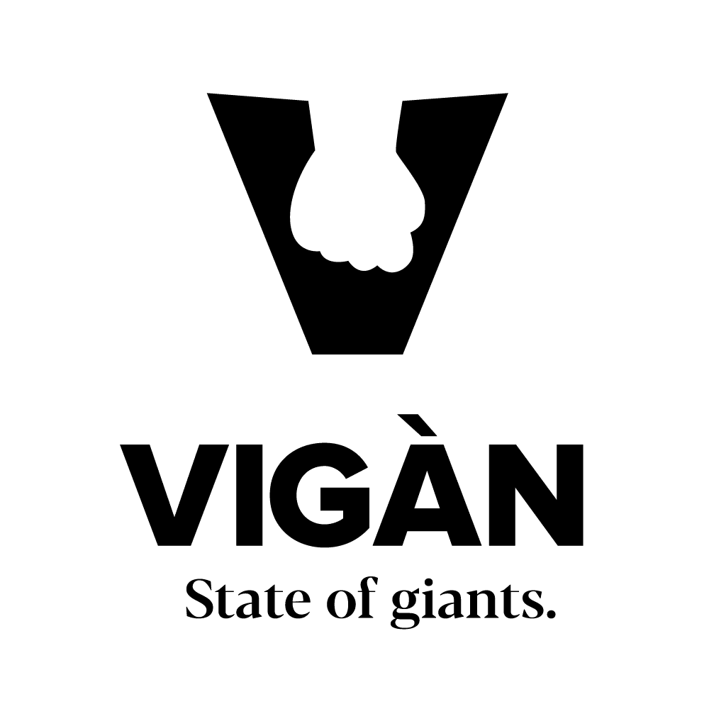 Vigan Group